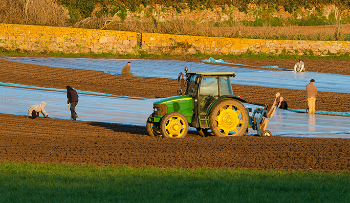 Farm workers, photo credit - Travis Leery