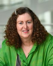 Professor Tracy Kaye
